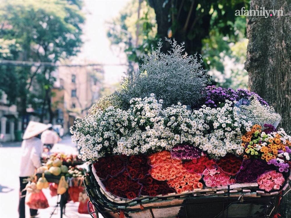 Cúc họa mi xuống phố đầu mùa nở căng đẹp, bó to 10 cành có giá 100 ngàn-2