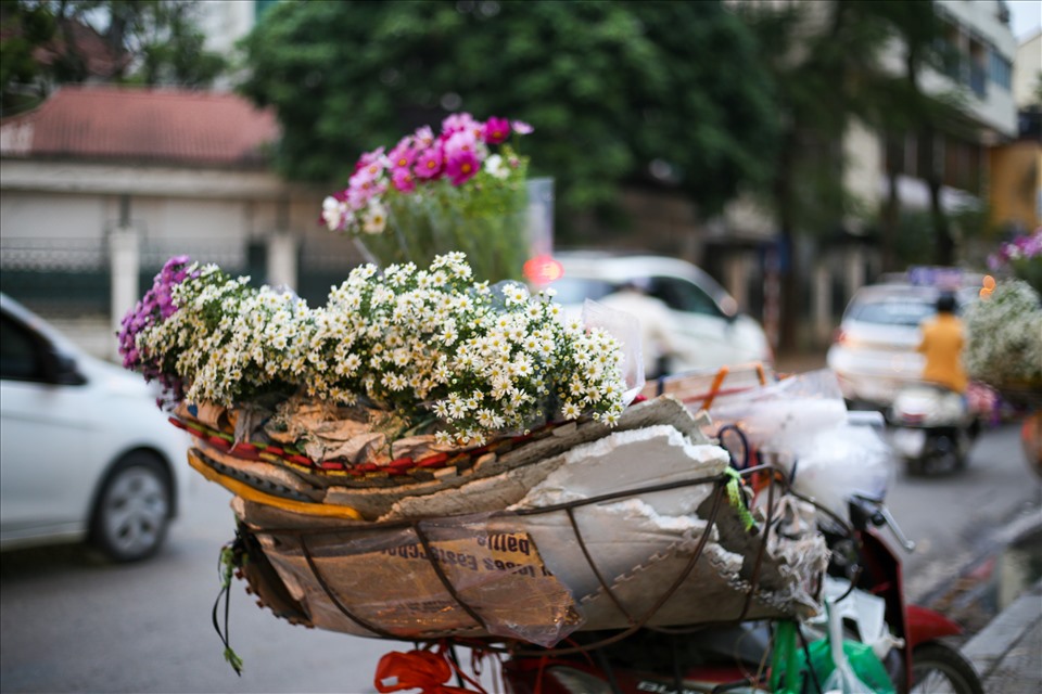 Cúc họa mi xuống phố đầu mùa nở căng đẹp, bó to 10 cành có giá 100 ngàn-4