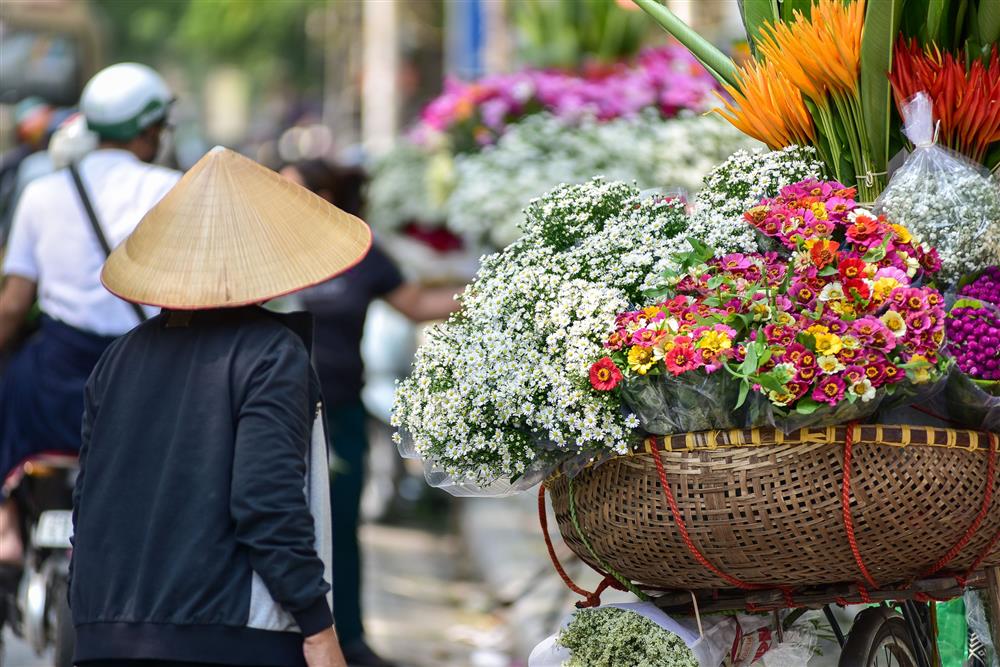 Cúc họa mi xuống phố đầu mùa nở căng đẹp, bó to 10 cành có giá 100 ngàn-5