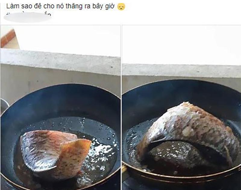 Rán cá không bị cong, không bắn 1 giọt dầu, không sát chảo chị em nào cũng cần biết-1