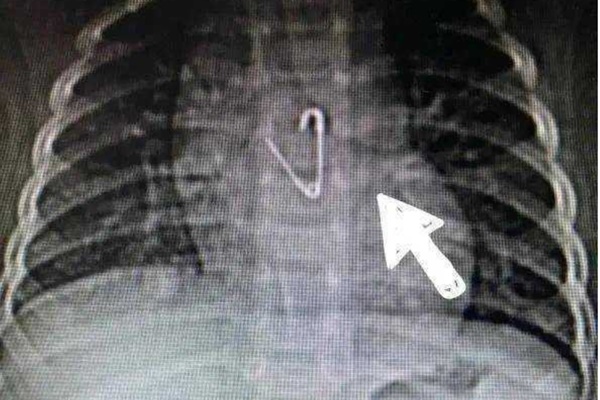 Giáo sư nổi tiếng nói: Nhà có con gái bố mẹ phải nhớ kỹ 5 điều, làm đúng thì tương lai con rực rỡ, nở rộ như đóa hoa ngày xuân-3