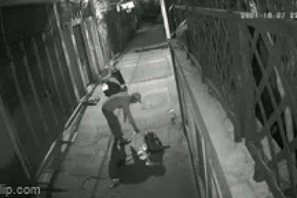 Xót xa khoảnh khắc chú mèo biến thành ngọn đuốc sống cố gắng vùng vẫy khi bị thiêu sống: Vì xích mích tình cảm trút giận lên thú cưng-2