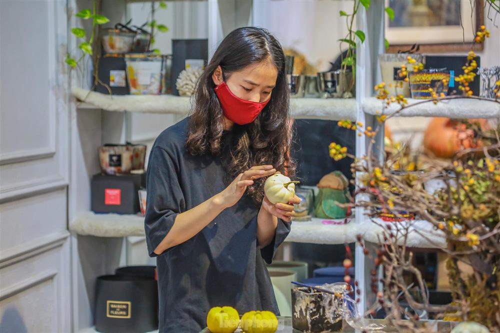 Người dân Thủ đô săn bí ngô siêu khổng lồ giá chục triệu để trang trí Halloween-9