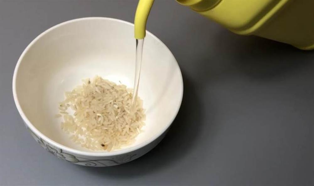 Đừng dùng thuốc diệt chuột mà áp dụng ngay phương pháp này, tất cả chuột đều tự bỏ đi xa-3