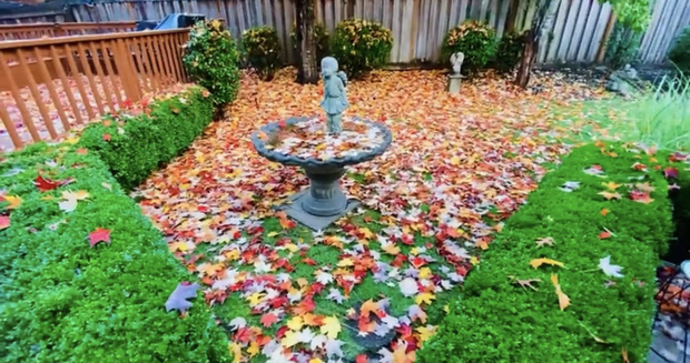 Bị đồn ở nhà sang chảnh đắt đỏ 100 tỷ, Mạnh Quỳnh lên tiếng: Mơ hồ quá đi-2