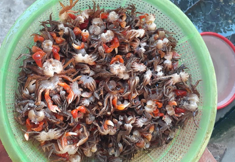 Loài cua lạ chân đỏ rực lại mọc lông đang gây sốt chợ-3