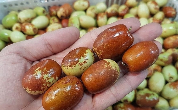 5 loại quả xuất xứ từ Trung Quốc vẫn được nhiều bà nội trợ lùng mua vì ngon mắt lại ăn sướng mồm-8