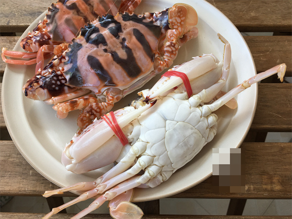 Món ghẹ xào siêu ngon, đậm vị ngọt, thích hợp cho những ngày se lạnh sum họp gia đình cuối tuần-1