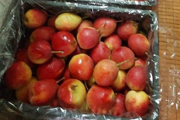 12 điều bạn làm hàng ngày tưởng chừng đơn giản nhưng lại chính là thủ phạm khiến tiền trong ví cạn kiệt-2