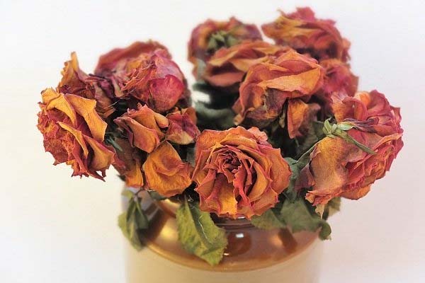 Nhà ở Đà Lạt được ví như cuộc chơi của những sự đối lập”, tận dụng cửa kính lấy view rừng đẹp quên sầu-18