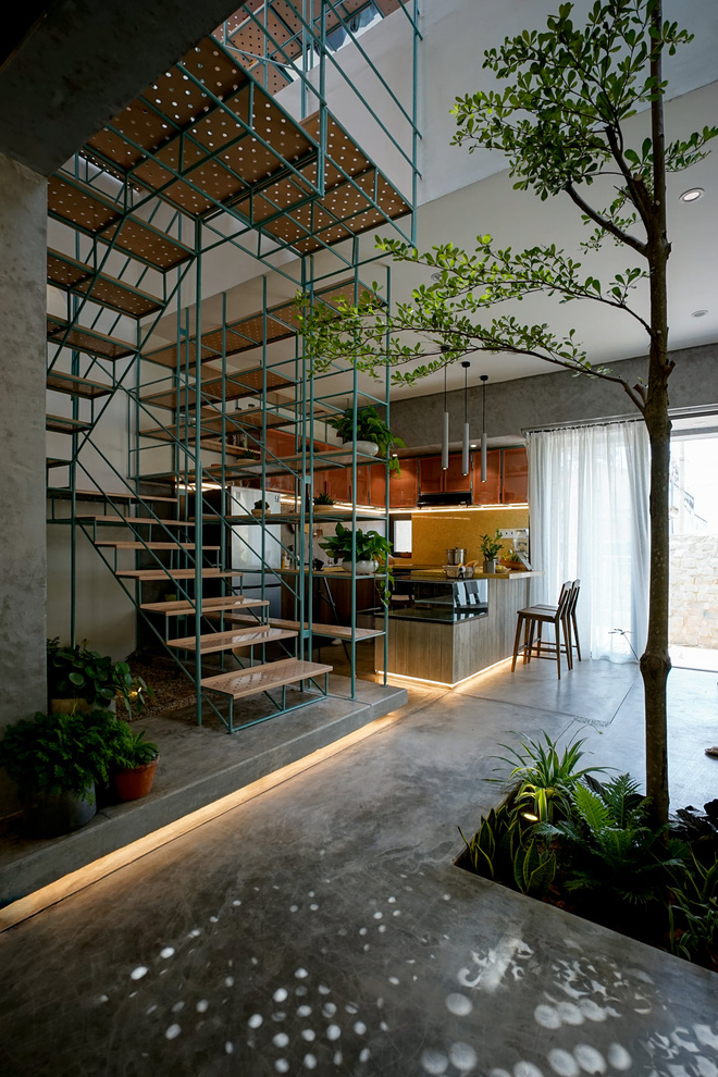 Nhà ở Đà Lạt được ví như cuộc chơi của những sự đối lập”, tận dụng cửa kính lấy view rừng đẹp quên sầu-11