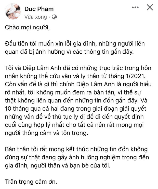 3 năm hôn nhân của Diệp Lâm Anh và chồng thiếu gia: Từ câu nói anh sẽ không buông em đến kết thúc nghi vì tiểu tam-13