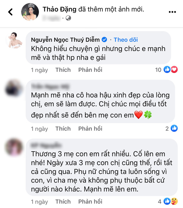 Rầm rộ tin Hoa hậu Đặng Thu Thảo ly hôn với ông xã doanh nhân-2
