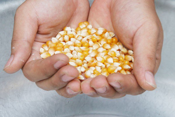 Làm bắp rang bơ vì sao không nổ, đầu bếp mách cách làm 50 hạt nổ đầy nồi-2