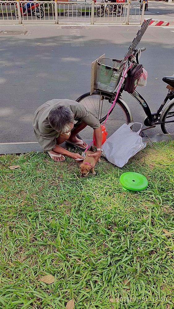 Cụ ông bán vé số được tặng chú chó mới sau khi công chúa nhỏ của Sài Gòn qua đời-2