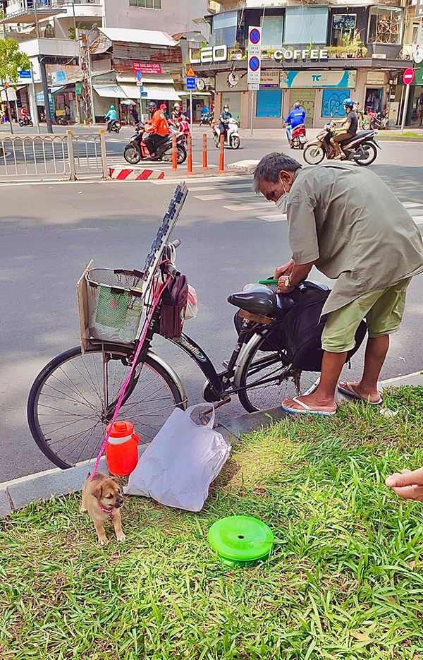 Cụ ông bán vé số được tặng chú chó mới sau khi công chúa nhỏ của Sài Gòn qua đời-4