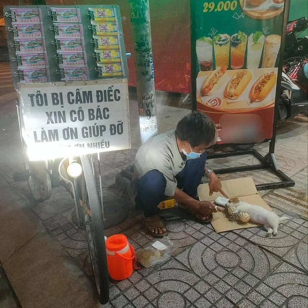 Cụ ông bán vé số được tặng chú chó mới sau khi công chúa nhỏ của Sài Gòn qua đời-7