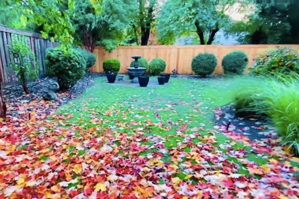 Không gian sống như vườn cổ tích của ca sĩ Mạnh Quỳnh-5