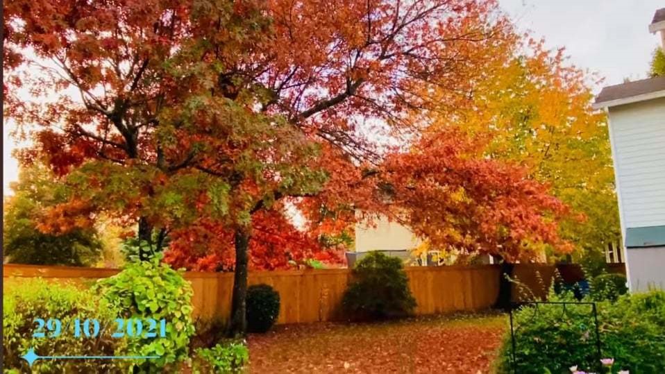 Không gian sống như vườn cổ tích của ca sĩ Mạnh Quỳnh-6