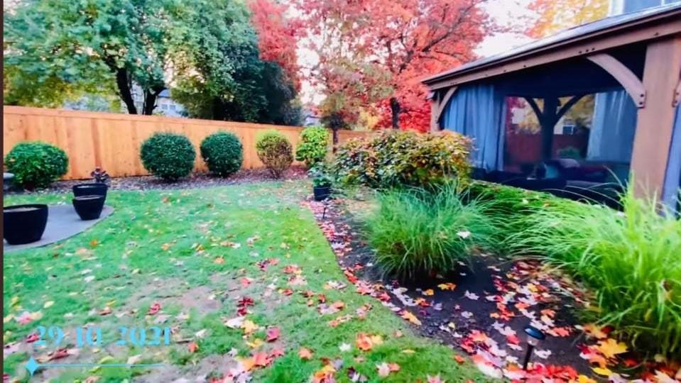 Không gian sống như vườn cổ tích của ca sĩ Mạnh Quỳnh-7