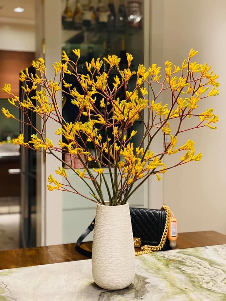 Hẳn chị em chưa biết loài hoa lạ đang được săn lùng hiện tại mang tên sừng hươu-2