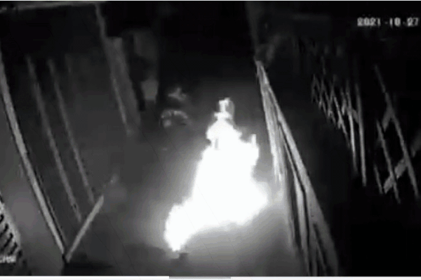 Vụ thanh niên thiêu sống chú mèo ở Hà Nội: Trạm cứu hộ từ chối mong muốn của nữ chủ nhân