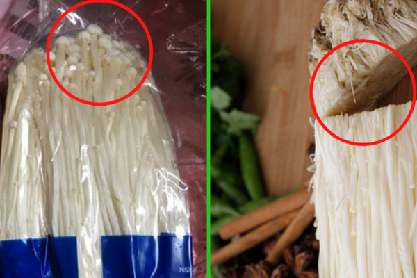 Keo silicon bị mốc và đen? Mách bạn cách sử dụng giấm trắng để dễ dàng loại bỏ vi khuẩn và vết bẩn-6