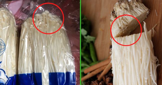 Chọn nấm tươi ngon, không tẩm hóa chất cứ nhắm vào phần gốc là đủ-1