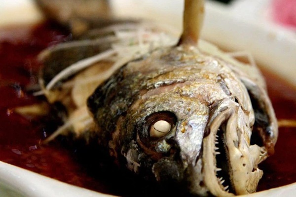 5 bộ phận của cá không tốt như chúng ta vẫn tưởng, thậm chí chứa độc tố gây ngộ độc, bệnh tim mạch-1