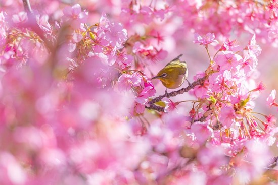 May mắn nhất trong tháng 11, 4 con giáp đón tài lộc dồi dào, tình duyên may mắn