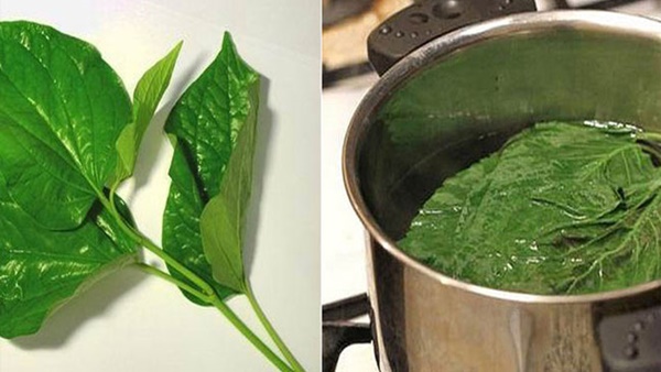 Loại hỗn hợp được đồn thổi giúp vùng kín thơm sạch, se khít như gái 18 khiến chị em hí hửng nhưng nghe chuyên gia nói thì chết lặng-3