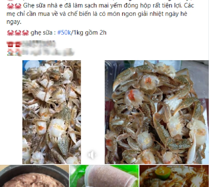 Vào vụ ghẹ sữa tươi thơm ngon nhiều gạch, bà nội trợ mua cả yến nấu canh, chiên giòn sốt me đãi cả nhà-1