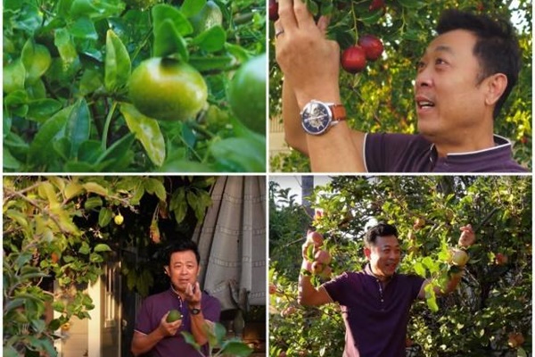 Nhà ở kết hợp phòng cho thuê ‘tuy chung mà riêng’-11