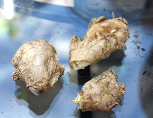 Đừng cất gừng vào tủ lạnh nữa, mẹo nhỏ này sẽ giúp bạn có thể giữ gừng tươi cả năm trời!-1