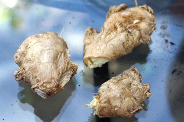 Treo túi này ở cửa sổ vào ngày mưa, đảm bảo đàn muỗi khiếp sợ không bao giờ dám đến gần-5