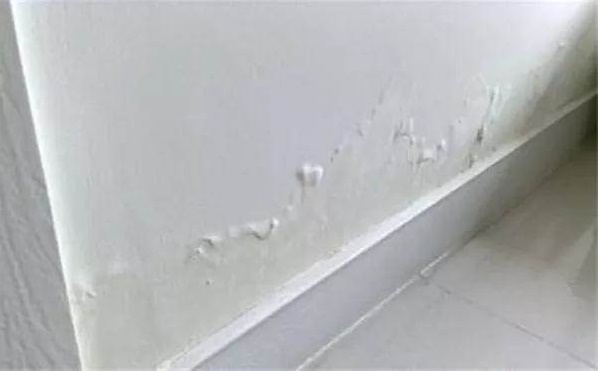 Tường nhà bị ẩm mốc, phồng rộp hoặc bong tróc? Không cần tốn tiền gọi thợ đến sửa, bạn hãy học mẹo này là giải quyết được ngay-4