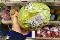 Bắp cải 200.000 đồng/kg và những loại rau xanh giá tiền triệu trong siêu thị