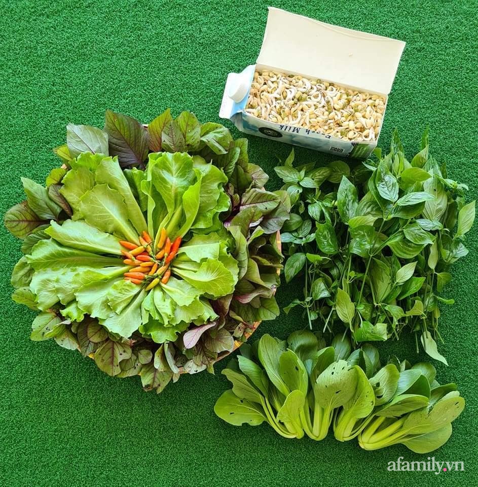 Vườn rau chống dịch không thiếu thứ gì lại còn được quy hoạch siêu đẹp của mẹ Việt ở Malaysia-13