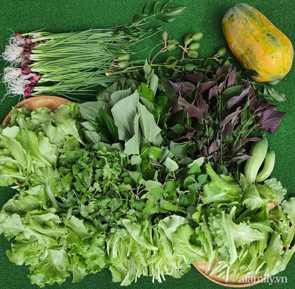 Vườn rau chống dịch không thiếu thứ gì lại còn được quy hoạch siêu đẹp của mẹ Việt ở Malaysia-21