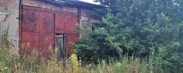 Con gái 6 tuổi bảo đi chơi cùng bạn, mẹ chết điếng nhận xác không toàn vẹn của con cùng sự thật phũ phàng-3