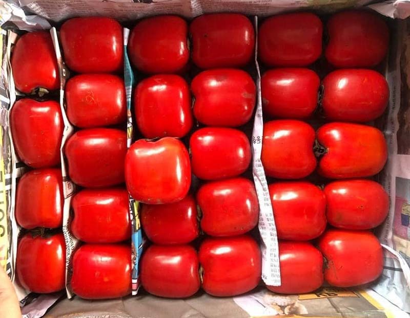 Đặc sản Đà Lạt đỏ chợ Hà Nội, nhiều người tưởng hàng Trung Quốc-2