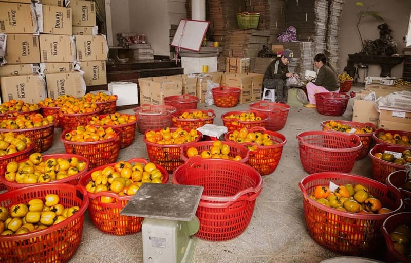 Đặc sản Đà Lạt đỏ chợ Hà Nội, nhiều người tưởng hàng Trung Quốc-3