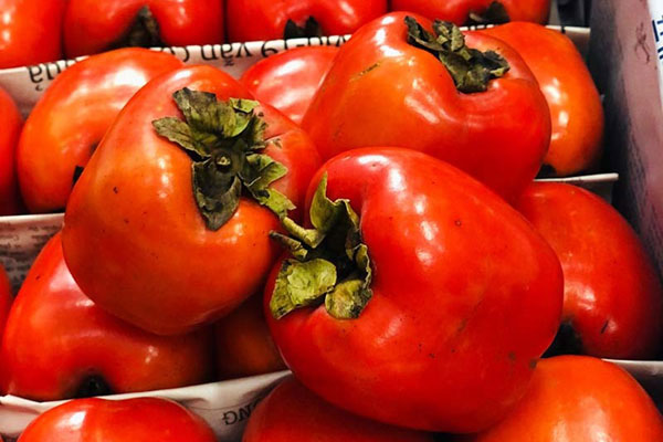 Ba đặc sản Việt nhìn ghê rợn, bò lổm ngổm... giá nửa triệu/kg-11