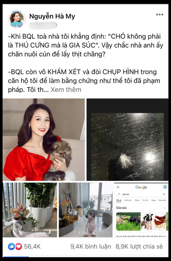 Có vô số điều khó hiểu mà chỉ những người xem chó mèo là con cái mới có thể làm được!-1