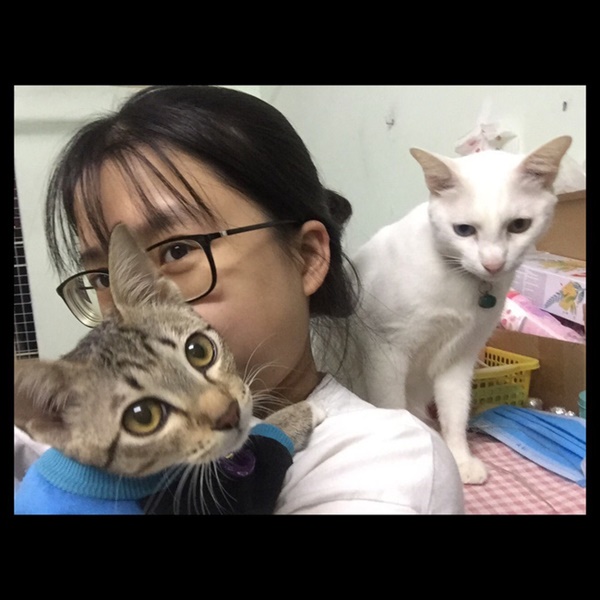 Có vô số điều khó hiểu mà chỉ những người xem chó mèo là con cái mới có thể làm được!-2