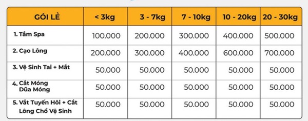 Có vô số điều khó hiểu mà chỉ những người xem chó mèo là con cái mới có thể làm được!-5