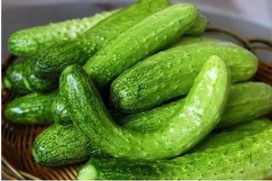 Người bán dưa sẽ không cho bạn biết: Mua dưa chuột nên chọn quả cong hay thẳng?