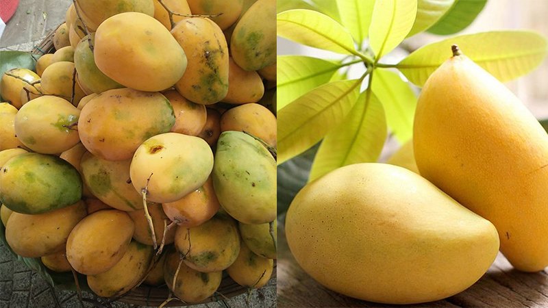 7 loại trái cây bán đầy chợ dễ bị ngâm ủ hóa chất, chị em cần tinh ý để tránh mua nhầm-3