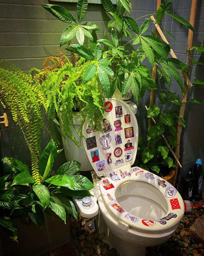 Nhà vệ sinh khiến dân tình đổ xô vào tranh cãi: Dán sticker lên bồn cầu, bày cây thật chill liệu có hợp lý?-3