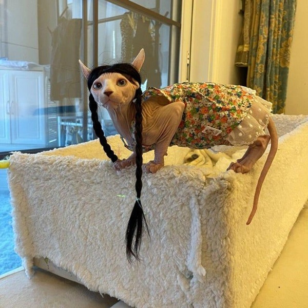 Bức ảnh khiến dân mạng nháo nhào không biết quái vật tỷ tỷ phương nào, xem kỹ mới nhận ra danh tính quá chất!-3